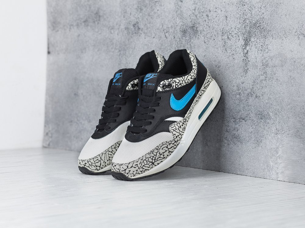 Кроссовки Nike Air Max 1