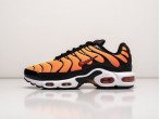 Кроссовки Nike Air Max Plus TN